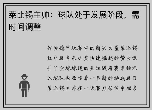 莱比锡主帅：球队处于发展阶段，需时间调整